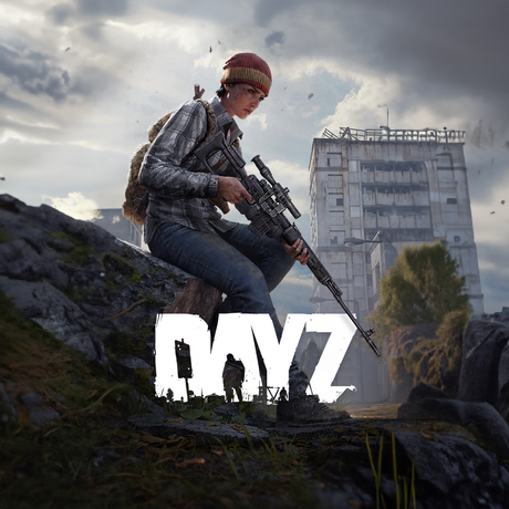 Day Z